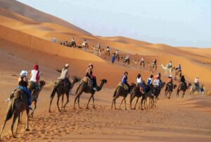 Merzouga camel rides