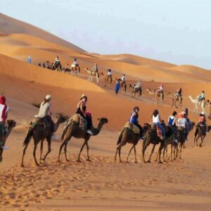 Merzouga camel rides